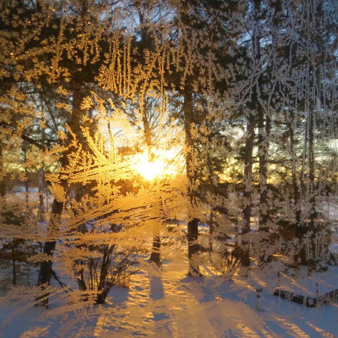 Winter sunrise through frosty window